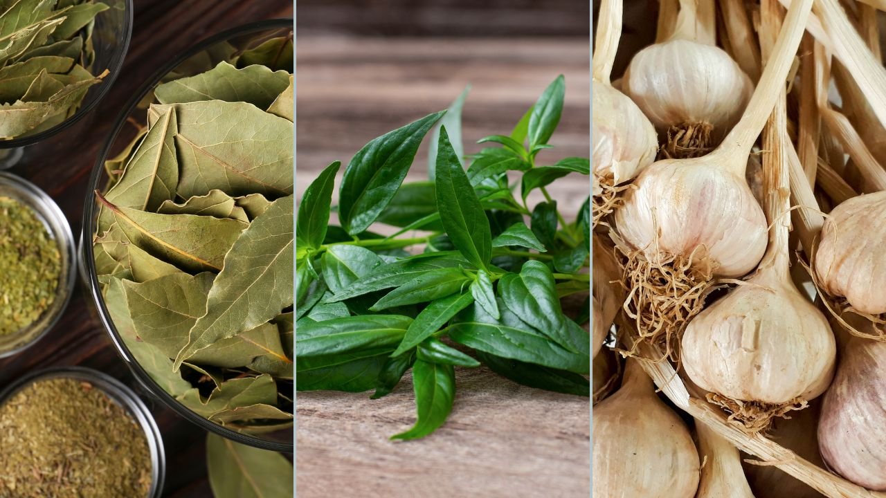 Cholestoff Product Image